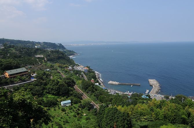 小田原市 ふるさと納税