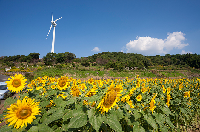 鹿児島県長島町｜地域から探す｜JRE MALLふるさと納税