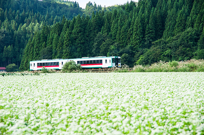 山形県最上町｜地域から探す｜JRE MALLふるさと納税