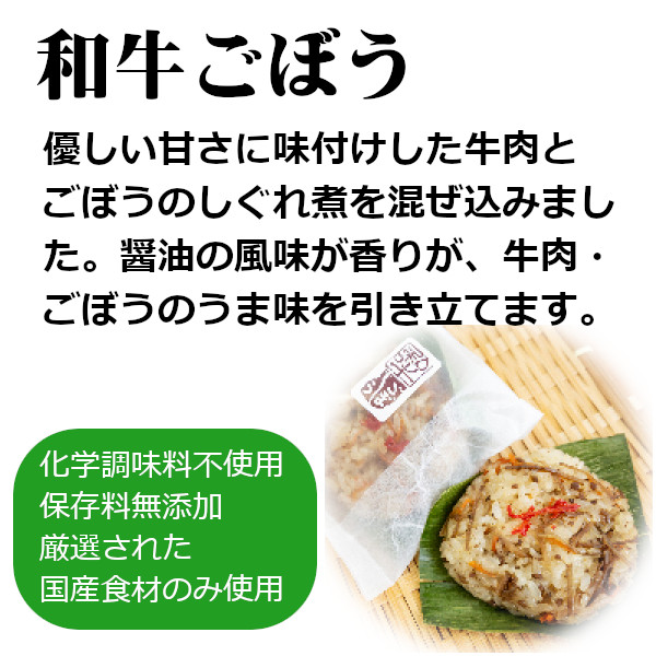 r05-016-010 新潟県産もち米使用「越後もちめし１６個」冷凍 レンジで