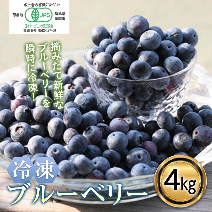 ☆訳あり☆ブルーベリー４kg - 果物