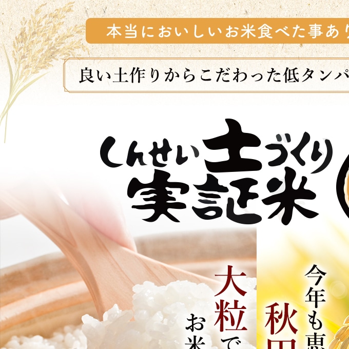 定期便〉あきたこまち 白米 5kg×5回 計25kg 2ヶ月毎 令和4年 精米 土