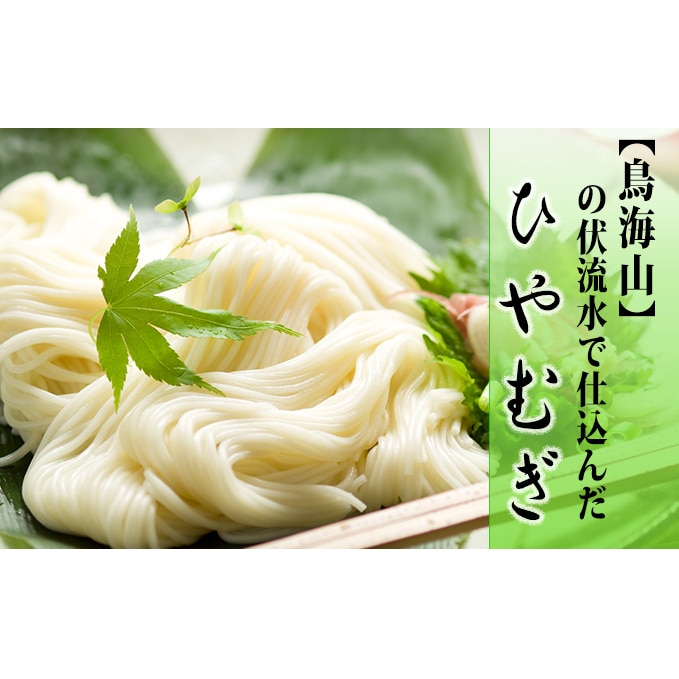 麺/その他 麺の返礼品一覧｜JRE MALLふるさと納税