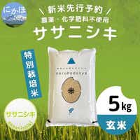 ササニシキ玄米 農薬と肥料不使用 - 米