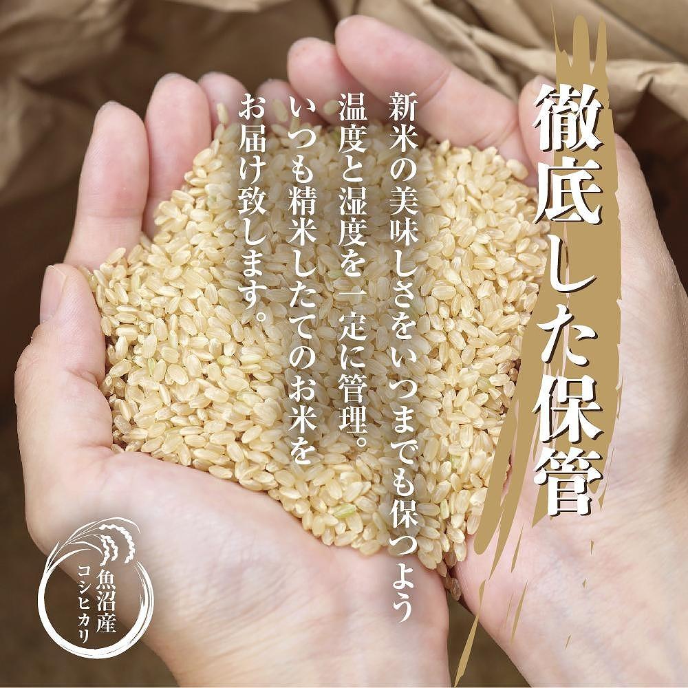 食品新潟県魚沼産コシヒカリ 20キロ 精米済み - bimus.hr