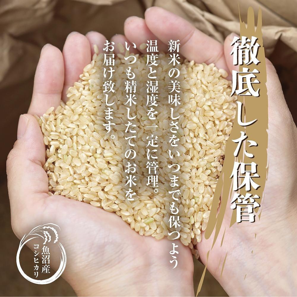 魚沼産コシヒカリ20キロ無洗米