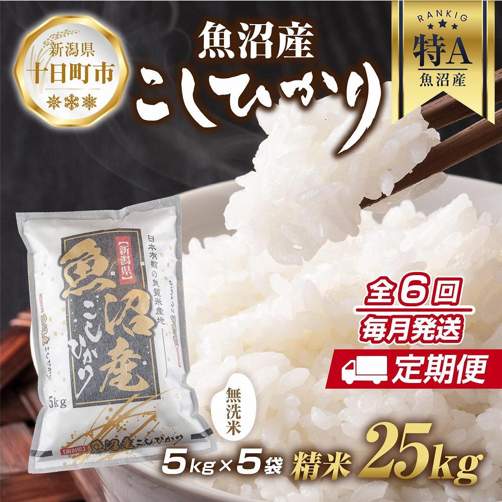 食べ比べセット 令和5年産新潟新之助 特別栽培米コシヒカリ 白米5kg各1 