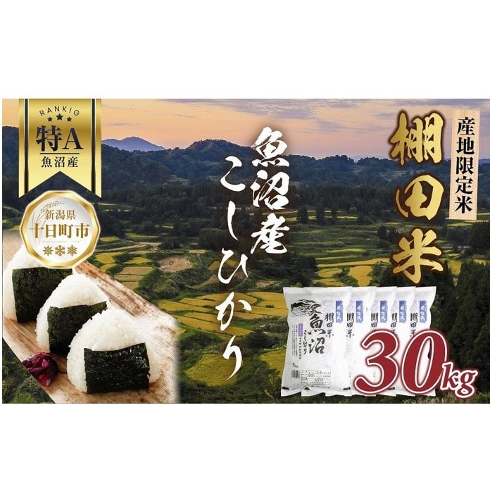 棚田米 魚沼産 コシヒカリ 30kg 新潟県 十日町市 松代地区 限定 棚田