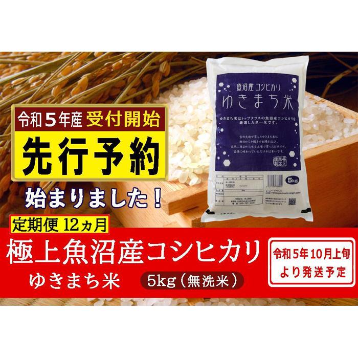 定期便 雪室貯蔵 魚沼産 小千谷市 新潟県 米 白米 コシヒカリ5kg×6回 毎月お届け