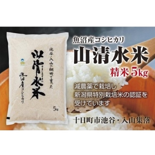 世界の 令和4年10月〜配送玄米5kg 農家直送 魚沼産コシヒカリ 山清水米 fucoa.cl