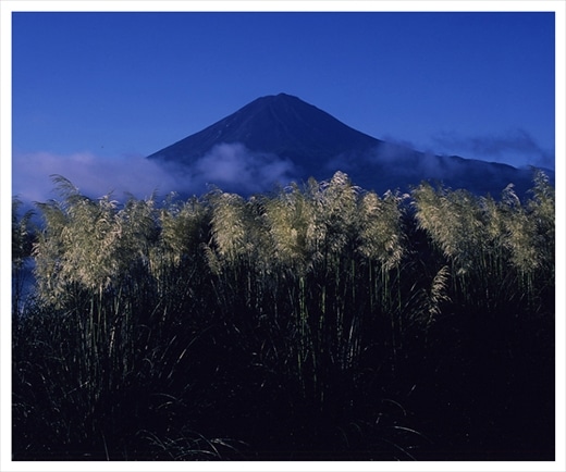 富士山写真大賞 額装写真 初秋の詩 河口湖大石公園 全紙 額装サイズ約530 640mm 山梨県富士河口湖町 Jre Pointが 貯まる 使える Jre Mall