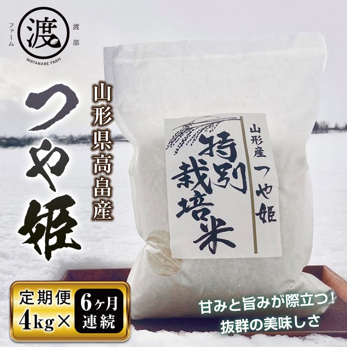 ふるさと納税 清酒 辯天 べんてん 金印 本醸造 720ml×1本 F20B-552