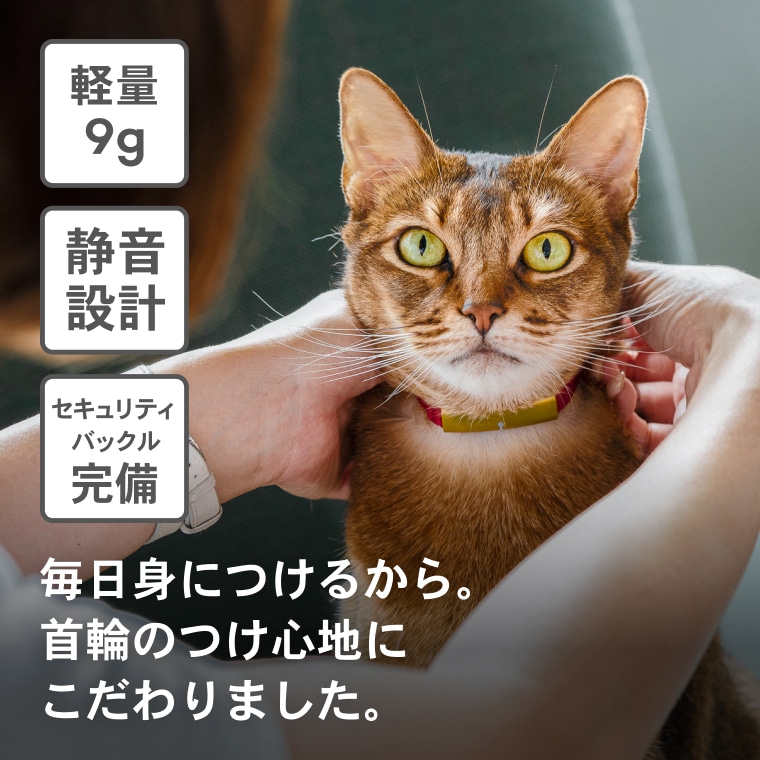 2猫様用】Catlog基本セット + 追加Pendant: 茨城県境町｜JRE MALL