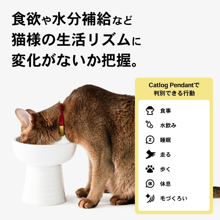 2猫様用】Catlog基本セット + 追加Pendant: 茨城県境町｜JRE MALL