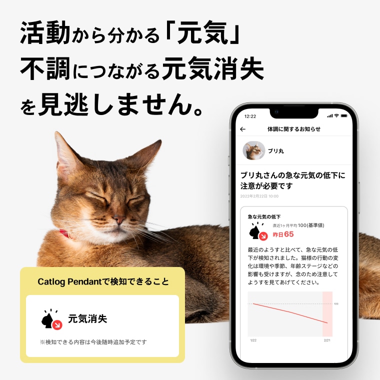 ペット用デバイス】猫の行動と体調を見守るスマート首輪 Catlog