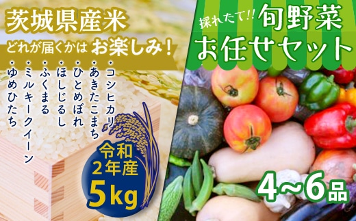 数量限定 令和２年産米 茨城県産米と旬野菜のセット 茨城県つくばみらい市 Jre Pointが 貯まる 使える Jre Mall