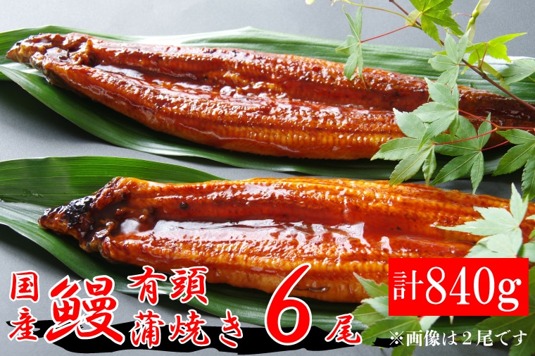 激安セール】 蒲焼６尾 - 魚介類(加工食品)