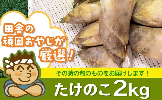 田舎の頑固おやじが厳選 たけのこ2 令和3年4月から順次お届け 茨城県つくばみらい市 Jre Pointが 貯まる 使える Jre Mall