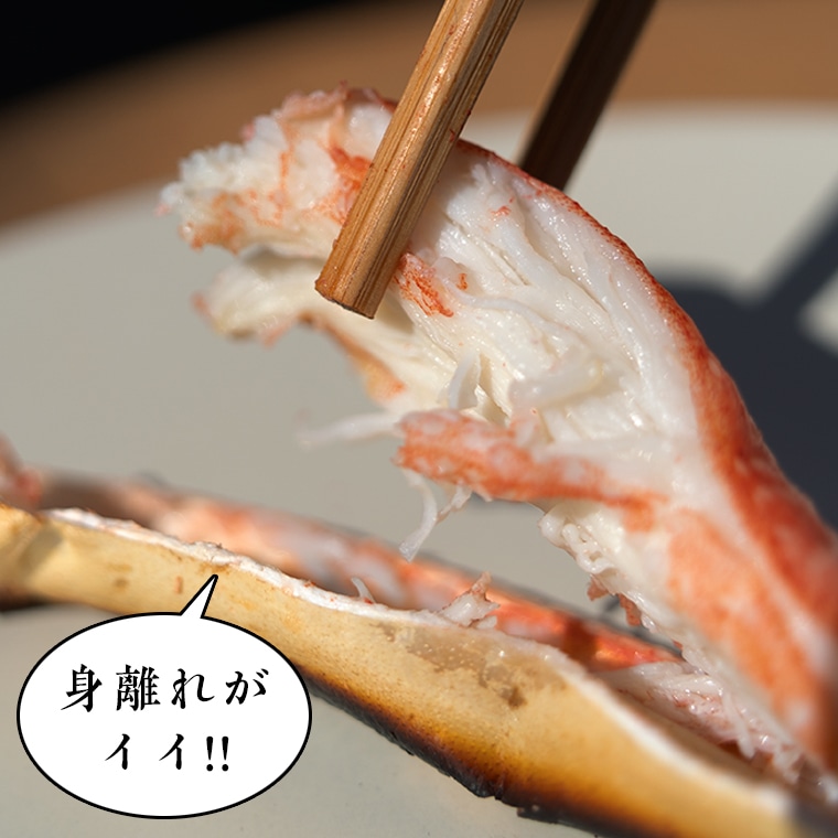 ボイル 本ずわいがに 2肩 500g × 1 カジマ ずわい蟹 ズワイガニ ずわいがに かに カニ 蟹: 茨城県大洗町｜JRE MALLふるさと納税