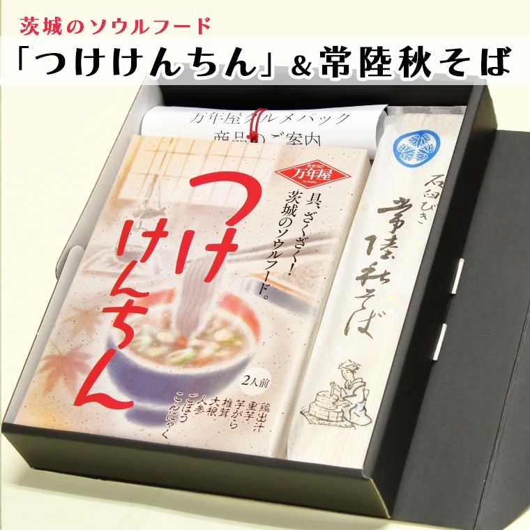 つけけんちん そば 2人前セット 常陸 秋そば 茨城 郷土料理 蕎麦