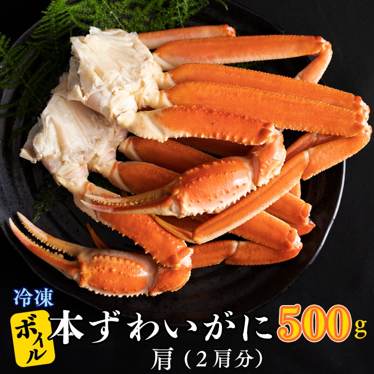 ボイル 本ずわいがに 2肩 500g × 1 カジマ ずわい蟹 ズワイガニ