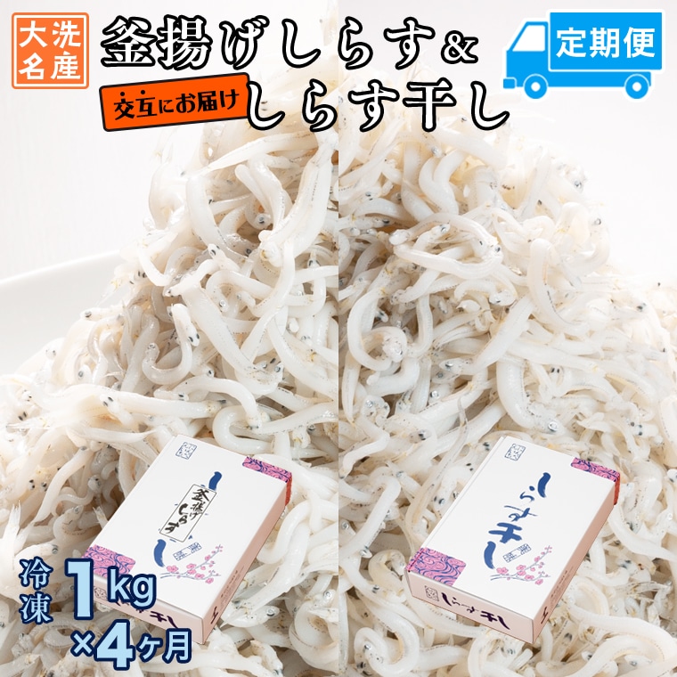 釜揚げしらす しらす干し 交互 定期便 (1kg×4か月) 天然 ふっくら 大洗