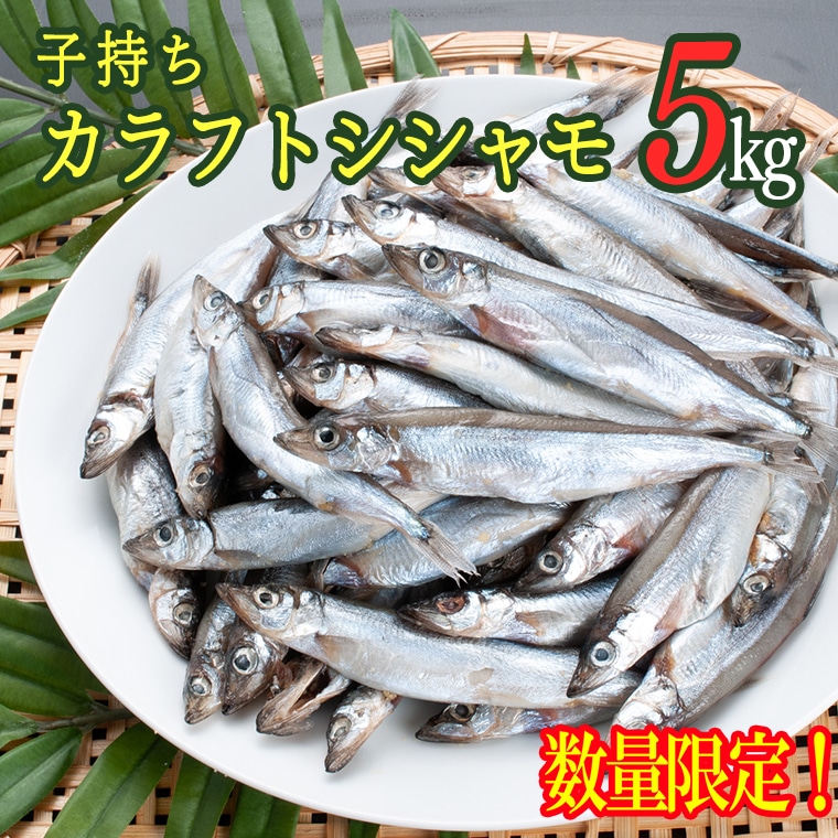 Av002 数量限定 子持ちカラフトシシャモ５kg 訳アリ品 茨城県大洗町 Jre Pointが 貯まる 使える Jre Mall