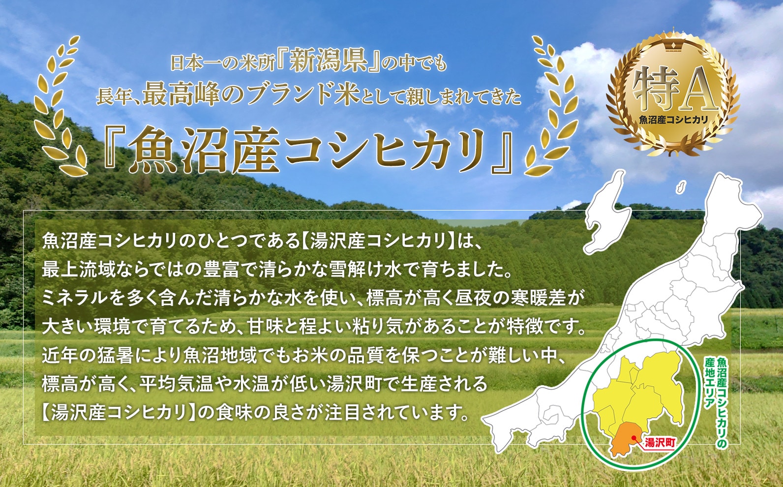 6ヶ月定期便】令和4年産【湯沢産コシヒカリ】＜無洗米＞4kg(2kg×2袋)と