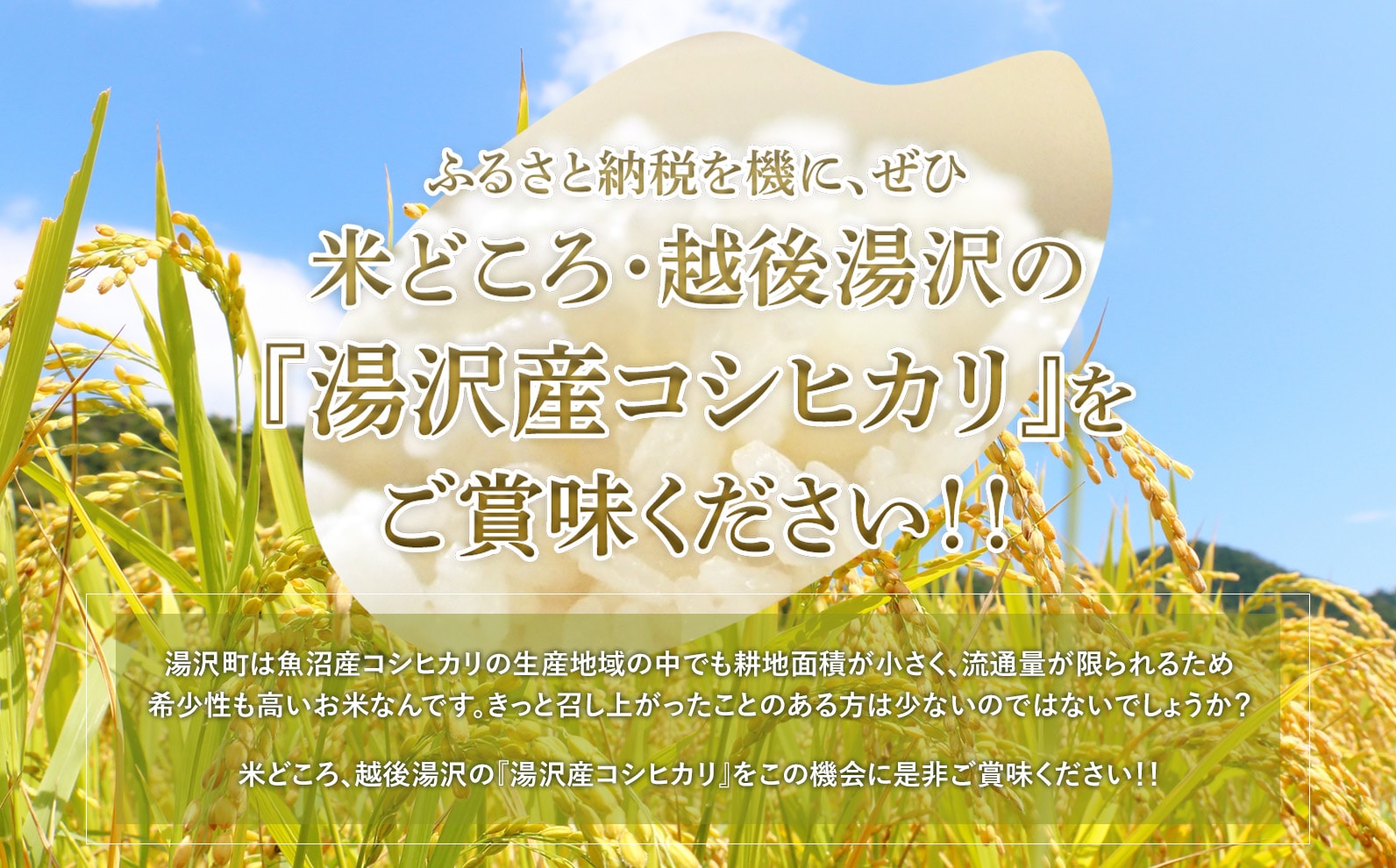 6ヶ月定期便】令和4年産【湯沢産コシヒカリ】＜無洗米＞4kg(2kg×2袋)と