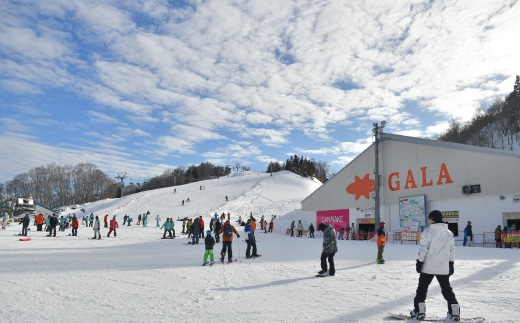 Gala湯沢スキー場 平日リフト引換券 ２枚 上越新幹線ゲレンデ直結 ガーラ湯沢 スキー スノーボード 子連れでの旅行にも 新潟県湯沢町 Jre Mallふるさと納税