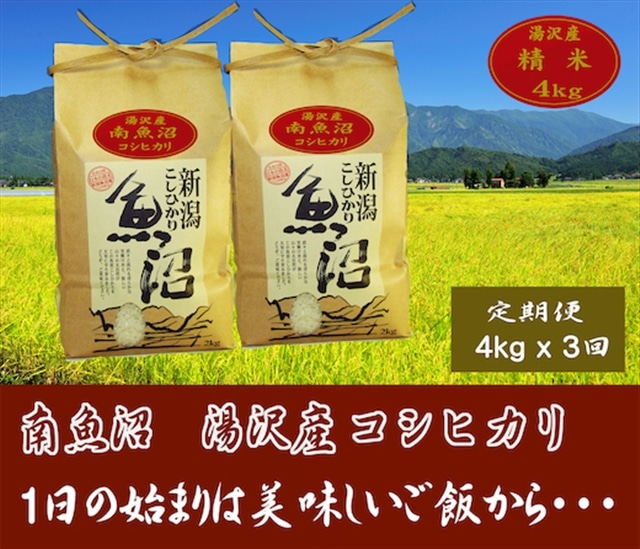 3ヶ月定期便】令和4年産 湯沢産コシヒカリ＜白米＞ 4kg（2kg×2袋）精米