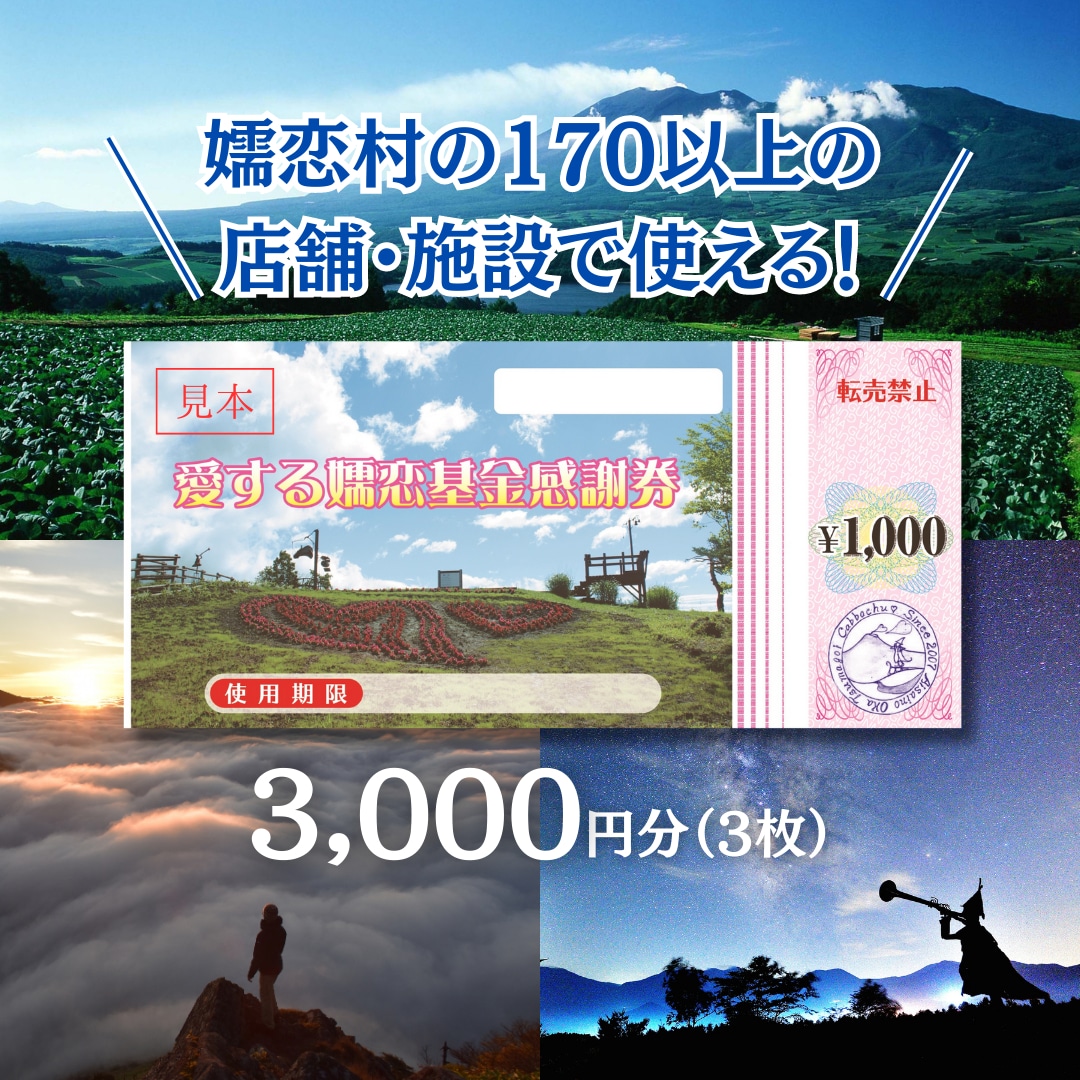 嬬恋村 で使える 感謝券 3,000円 分 (3枚) 観光 旅行券 宿泊券 旅行