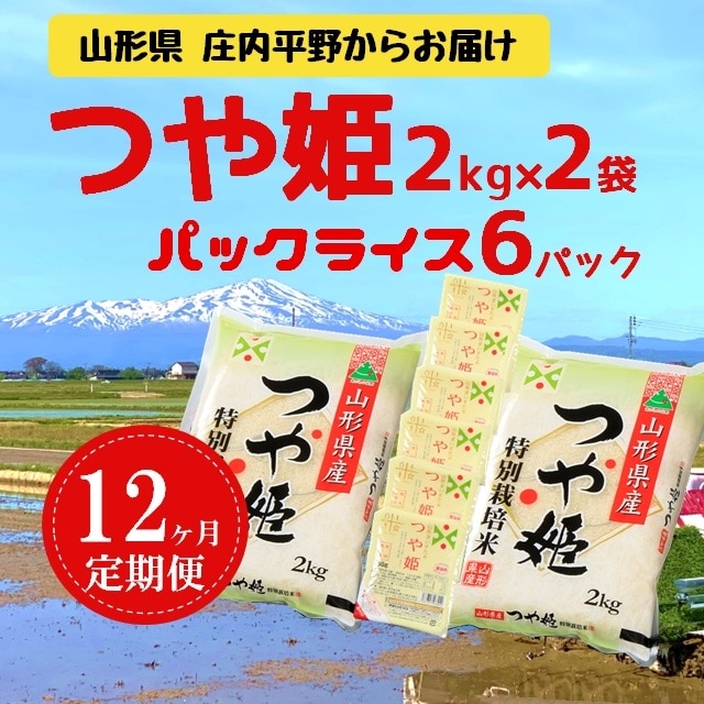 定期便12回 つや姫2kg 2袋 パックライス6p 12回 山形県三川町 Jre Pointが 貯まる 使える Jre Mall