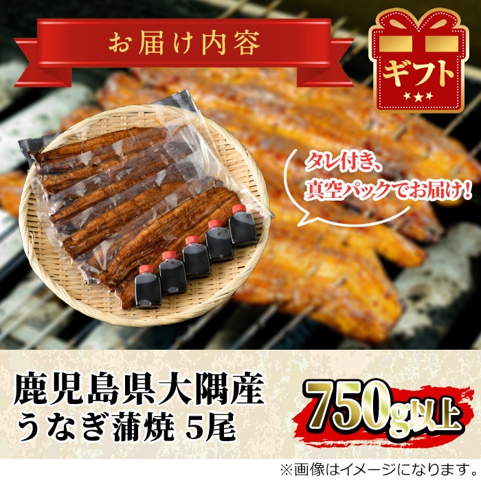 全品送料無料】 鹿児島県産 蒲焼６尾 - 魚介類(加工食品)