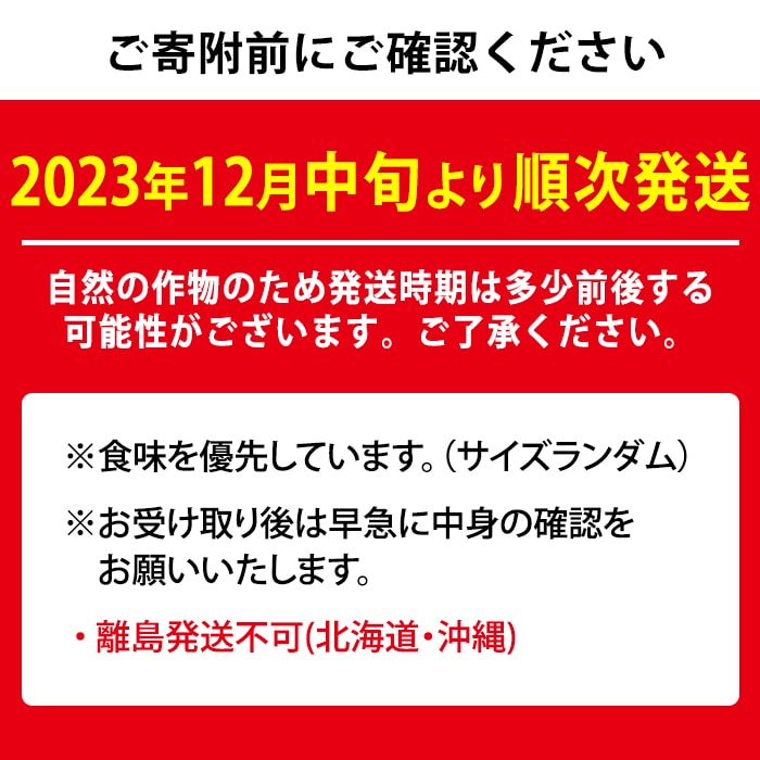 【0113901a】朝摘み完熟発送！牧内農園のさがほのか(4パック・約1kg)【牧内農園】: 鹿児島県東串良町｜JRE MALLふるさと納税