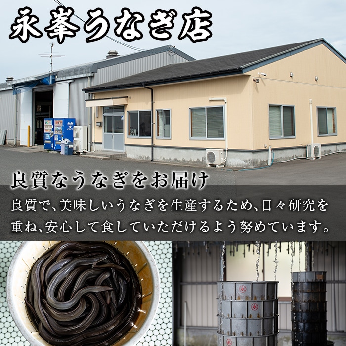 187 大隅産うなぎの蒲焼 計約4g 約140g 3尾 有頭 上質で良質な脂と ふっくらした身が魅力の鰻に育てました 永峯うなぎ店 鹿児島県東串良町 Jre Pointが 貯まる 使える Jre Mall