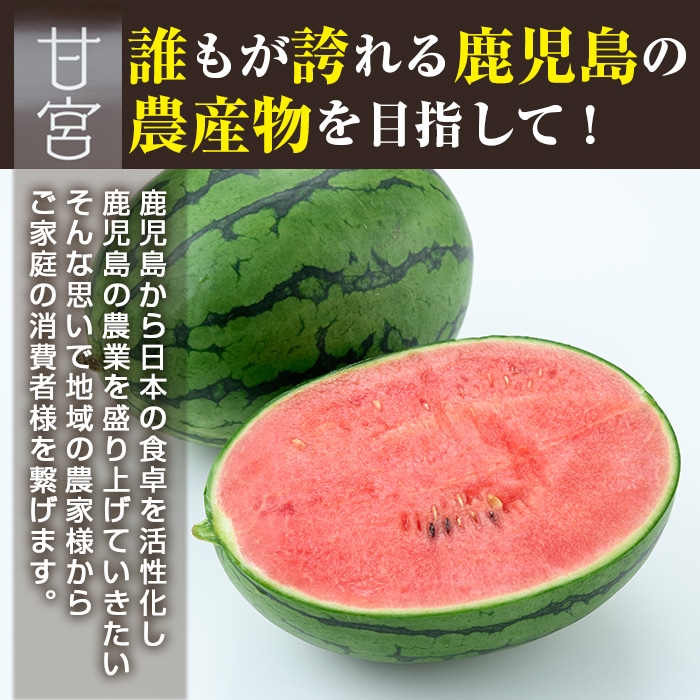 白 フリル付 鹿児島県産 徳光スイカ 1玉 10kg - 通販 - www.geologos.or.cr