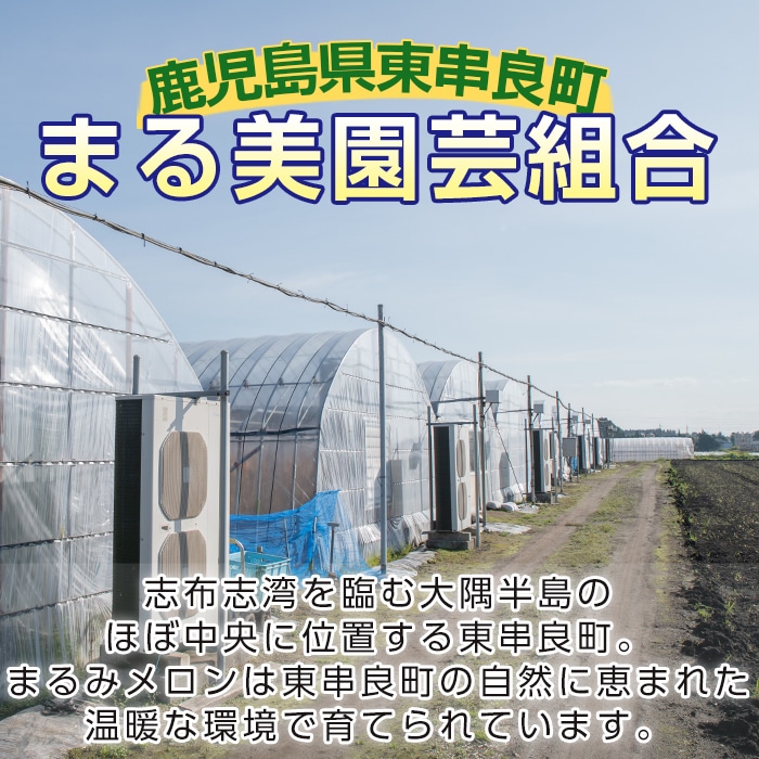 期間限定 鹿児島県東串良産の高級メロン まるまる育った まるみメロン La玉 6個 糖度15度以上の最高級マスクメロン まる美園芸組合 鹿児島県東串良町 Jre Pointが 貯まる 使える Jre Mall