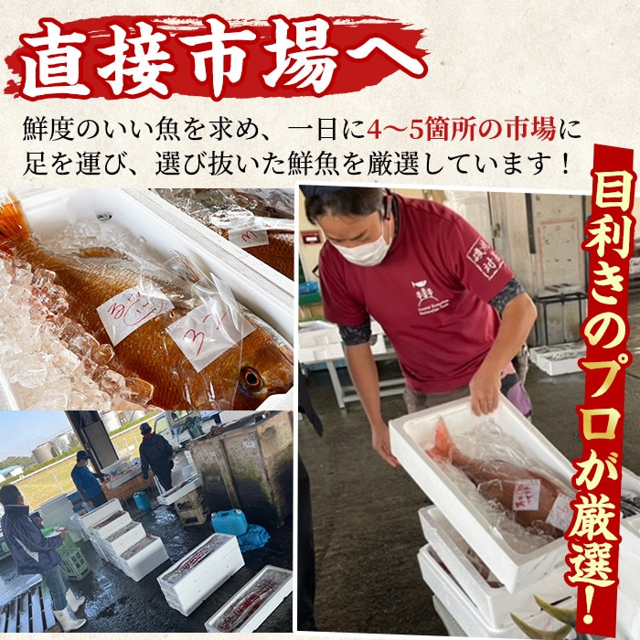 28831】＜訳あり＞朝獲れ発送！鮮魚問屋が厳選した大隅の氷締め伊勢海老(2尾・総量1kg以上)【江川商店】: 鹿児島県東串良町｜JRE MALL ふるさと納税