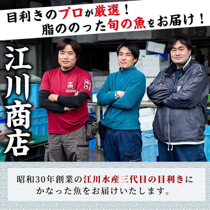 28831】＜訳あり＞朝獲れ発送！鮮魚問屋が厳選した大隅の氷締め伊勢海老(2尾・総量1kg以上)【江川商店】: 鹿児島県東串良町｜JRE MALL ふるさと納税