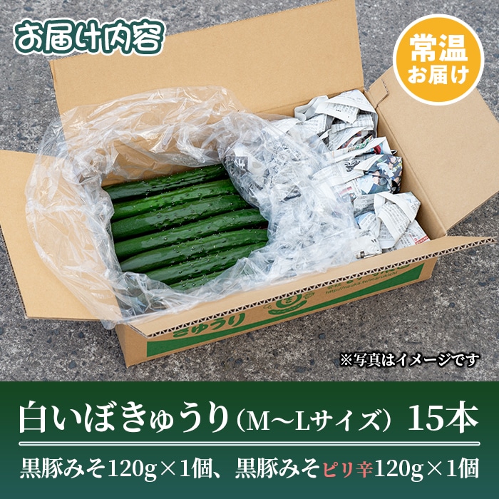 鹿児島県産 みずみずしい白いぼきゅうりを豚味噌で味わえるセットa きゅうり15本 黒豚みそ1g 1個 黒豚みそピリ辛1g 1個 吉ヶ崎農園 鹿児島県東串良町 Jre Pointが 貯まる 使える Jre Mall