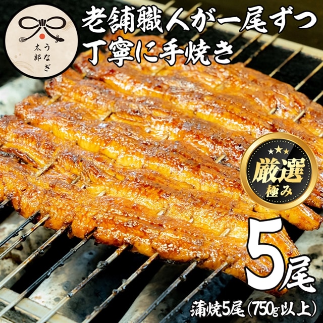 全品送料無料】 鹿児島県産 蒲焼６尾 - 魚介類(加工食品)