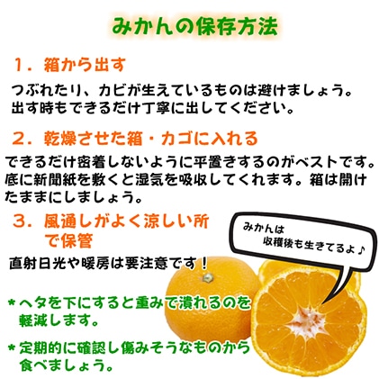 21年予約受付11月発送 有田みかん たっぷり10kg 訳あり家庭用 和歌山県湯浅町 Jre Pointが 貯まる 使える Jre Mall