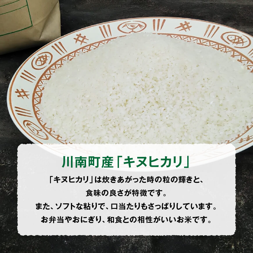 お米 令和4年産【特別栽培 キヌヒカリ】-