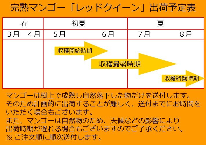 完熟マンゴーレッドクイーン ３玉 ２l 宮崎県川南町 Jre Pointが 貯まる 使える Jre Mall