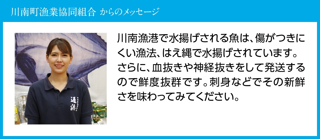 日向灘の海の幸 天然真鯛 活き締め 宮崎県川南町 Jre Pointが 貯まる 使える Jre Mall