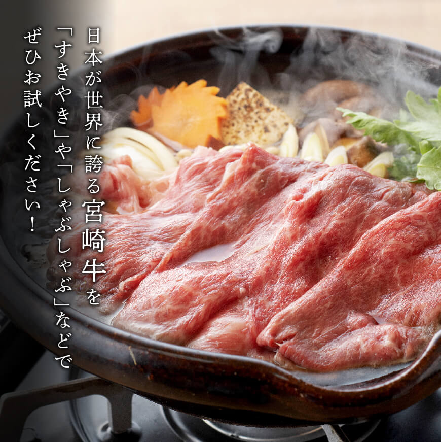 宮崎牛スライス６種食べ比べ600g 肉 牛肉 国産 黒毛和牛: 宮崎県川南町｜JRE MALLふるさと納税