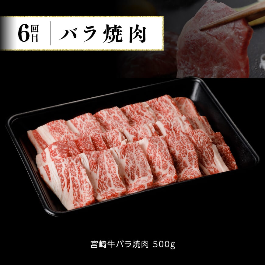 ６ヶ月定期便】宮崎牛定期便A【 牛肉 黒毛和牛 国産牛肉 肉質等級4等級以上 九州産牛肉 定期便 】: 宮崎県川南町｜JRE MALLふるさと納税