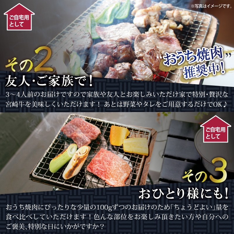 特選】宮崎牛6種 焼肉食べ比べ 【 牛肉 BBQ 国産牛肉 焼肉 九州産牛肉 】: 宮崎県川南町｜JRE MALLふるさと納税