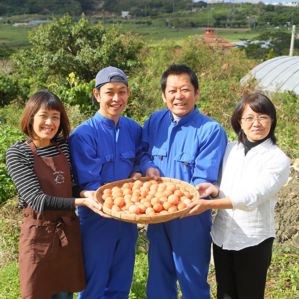 ふるさと納税 かきやまの「地養卵」 Lサイズ 40個×6回定期便＜垣山養鶏